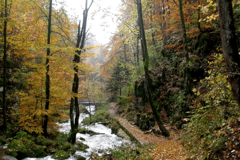 csm_Herbst08_433db526f1